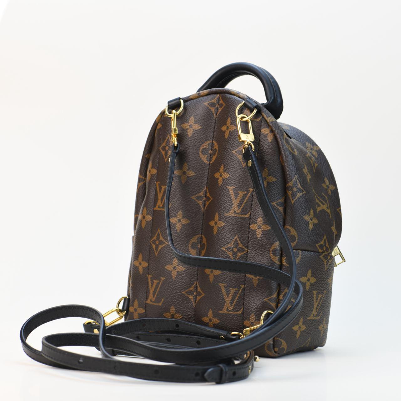 Louis Vuitton Palm Springs Mini Backpack For Sale 2