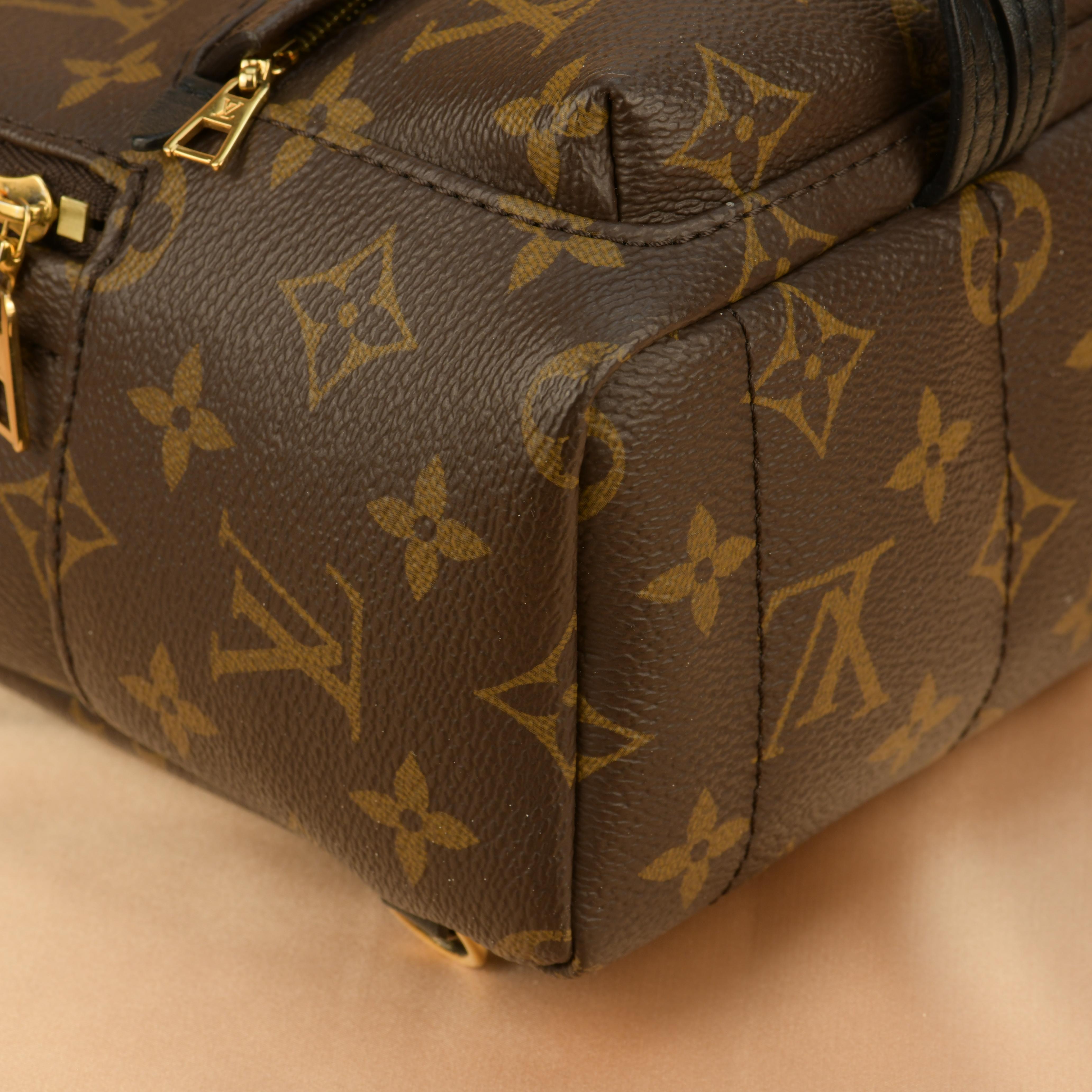 Louis Vuitton Palm Springs Mini Backpack 2
