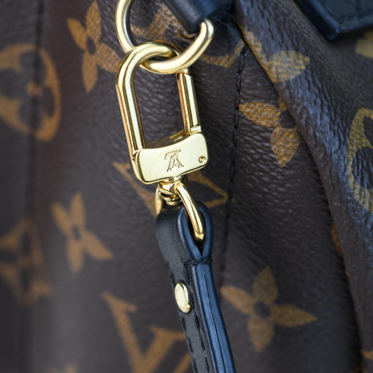Louis Vuitton Palm Springs Mini Backpack For Sale 3