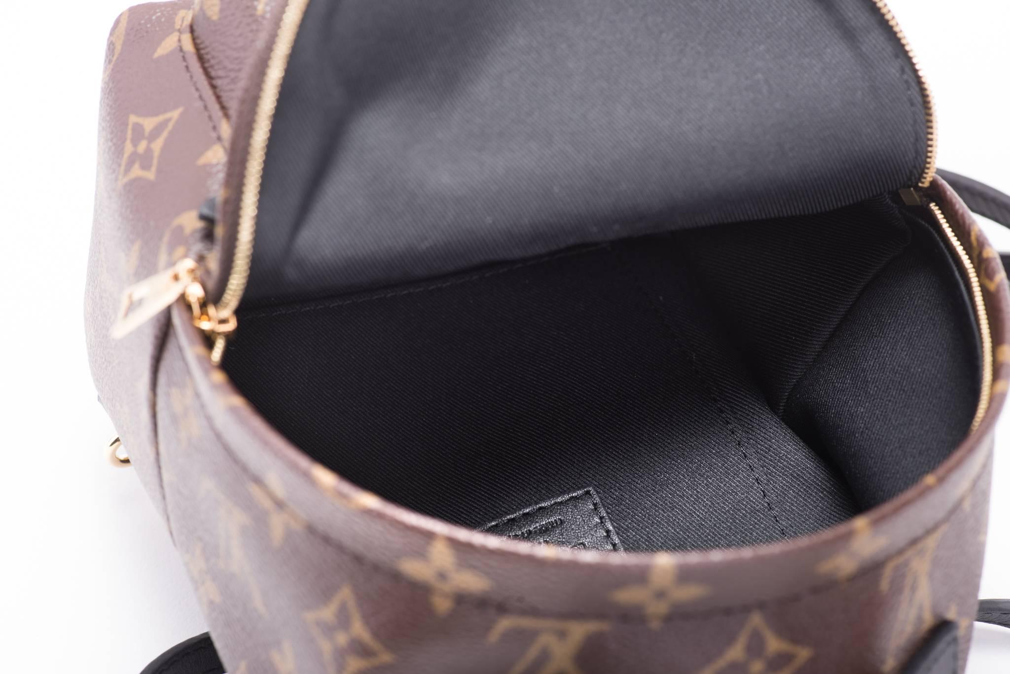 Louis Vuitton Mini sac à dos Palm Springs  en vente 2