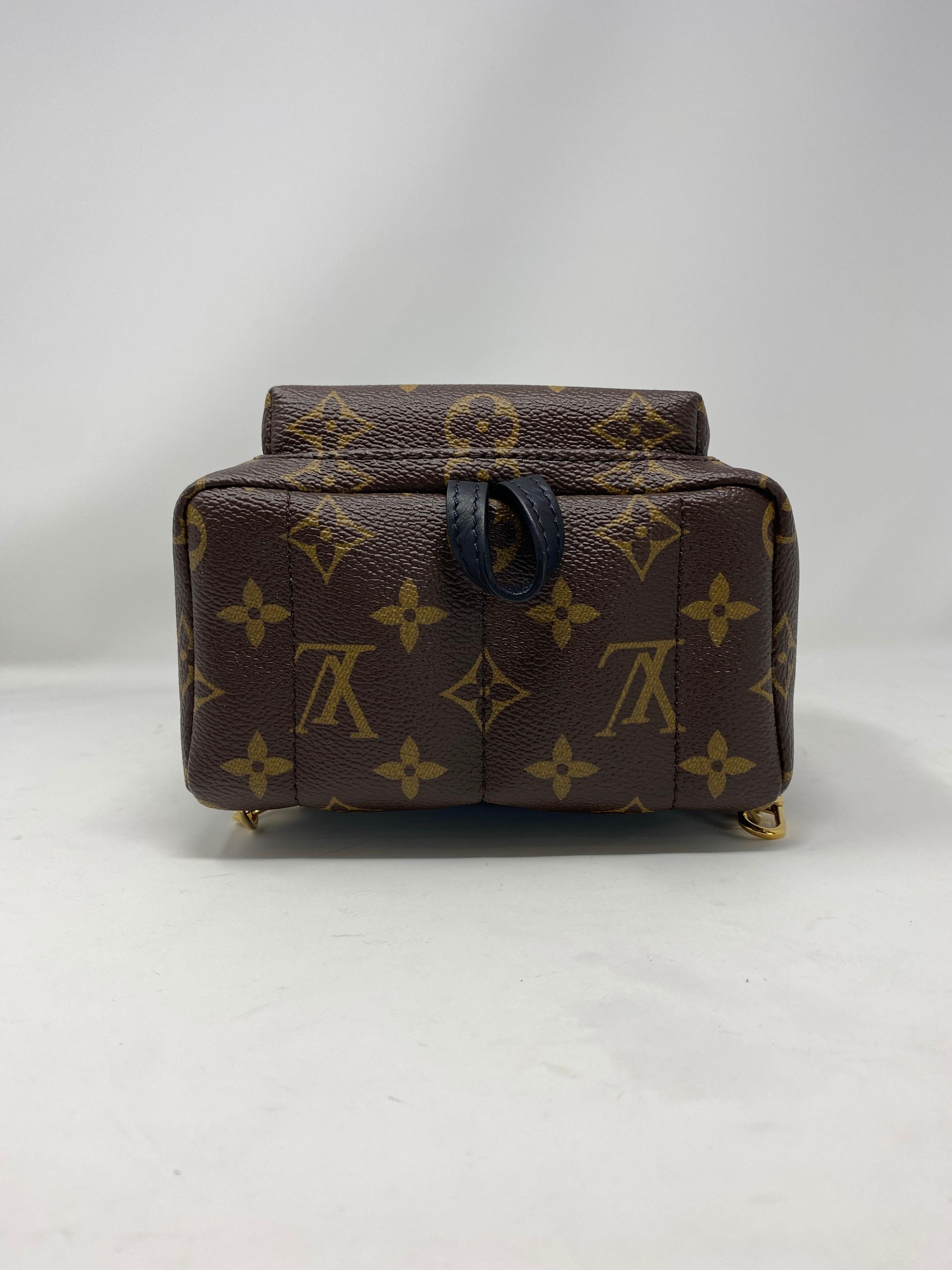 Louis Vuitton Palm Springs Mini Backpack  1