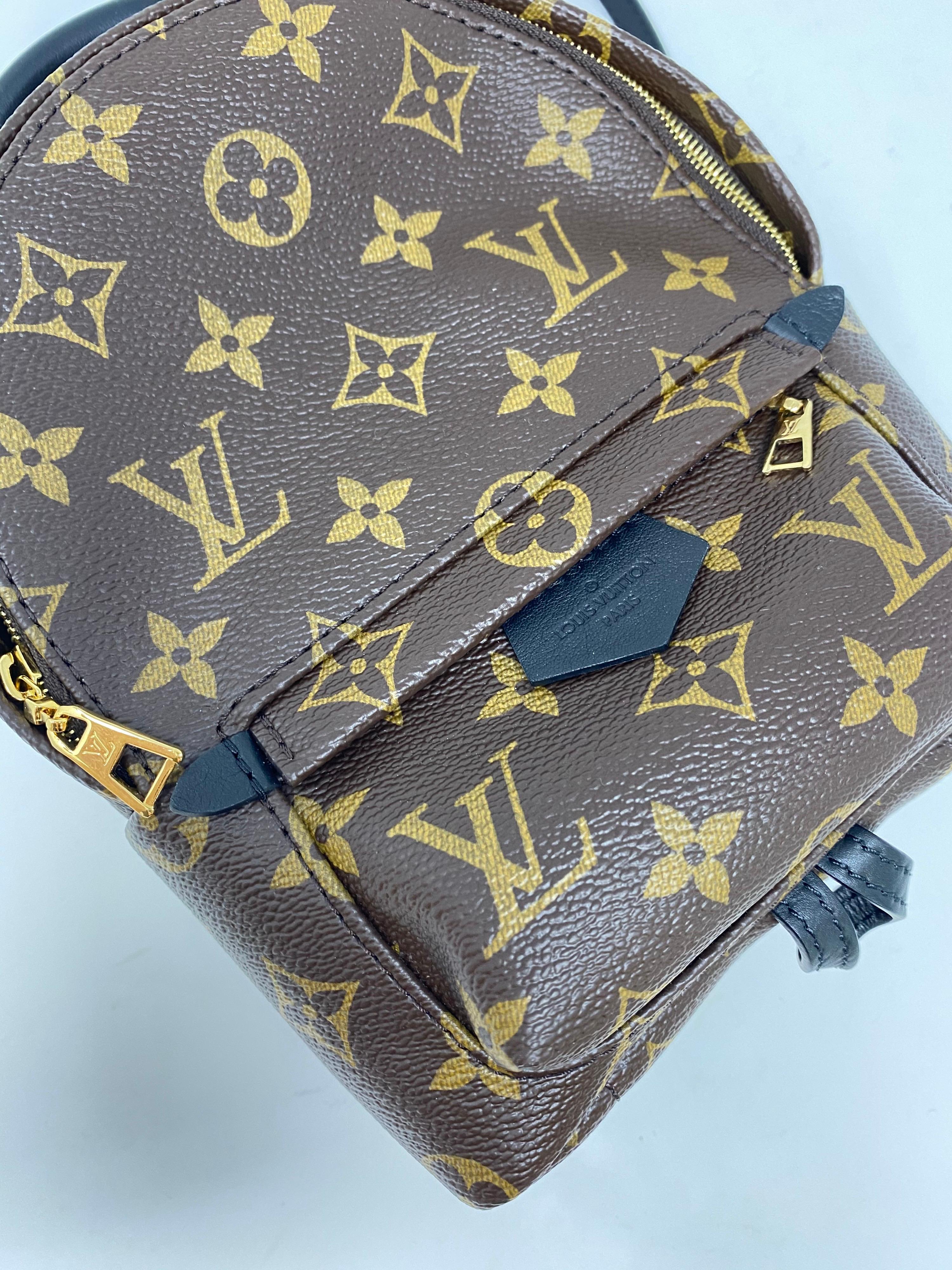 Louis Vuitton Palm Springs Mini Backpack  2