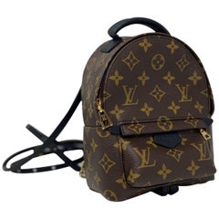 Used Louis Vuitton Palm Springs Mini Backpack 