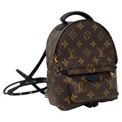 Used Louis Vuitton Palm Springs Mini Backpack 