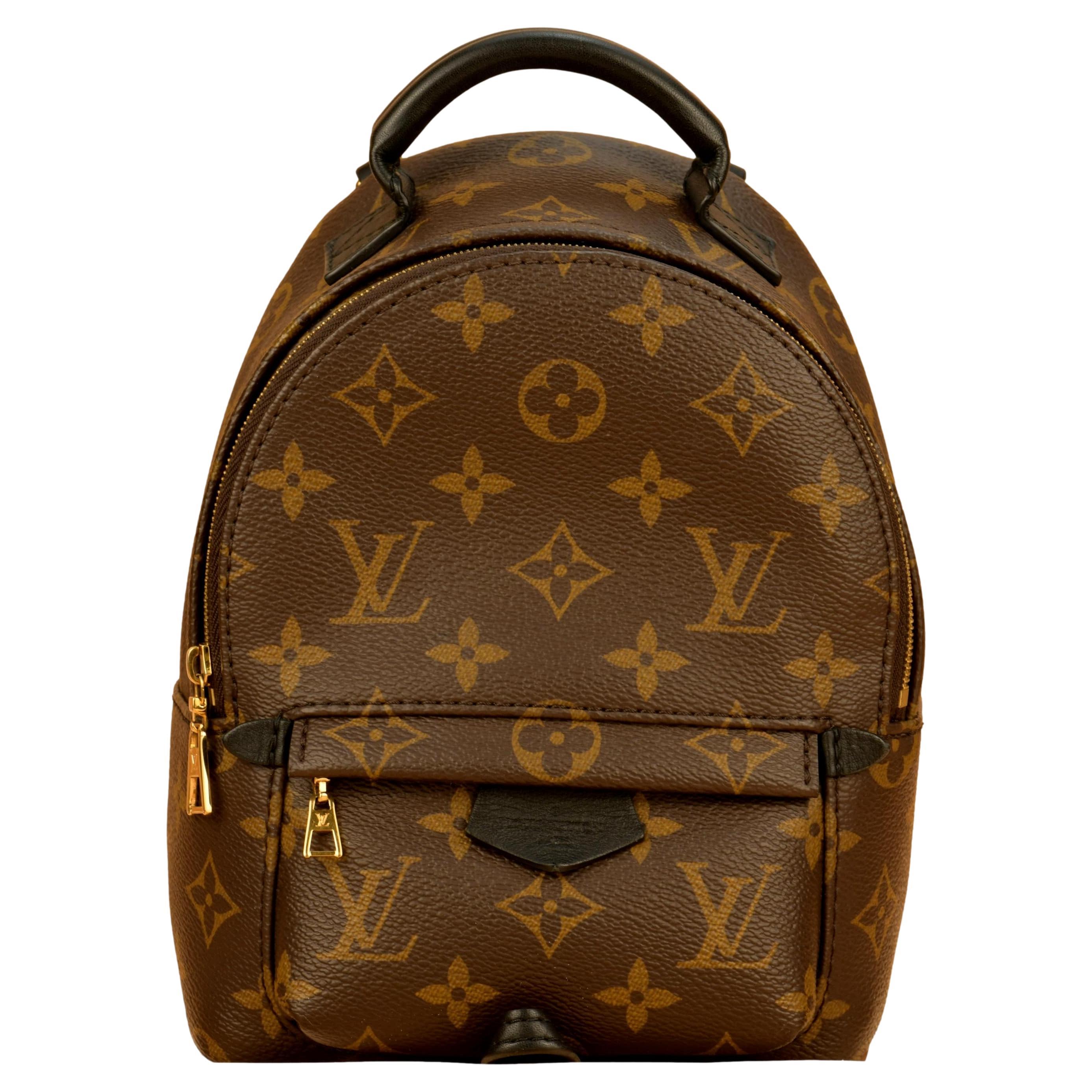 Louis Vuitton Palm Springs Mini Backpack For Sale at 1stDibs