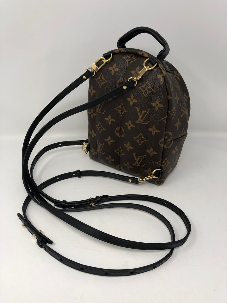 Louis Vuitton Palm Springs Mini Crossbody/Backpack For Sale at 1stdibs