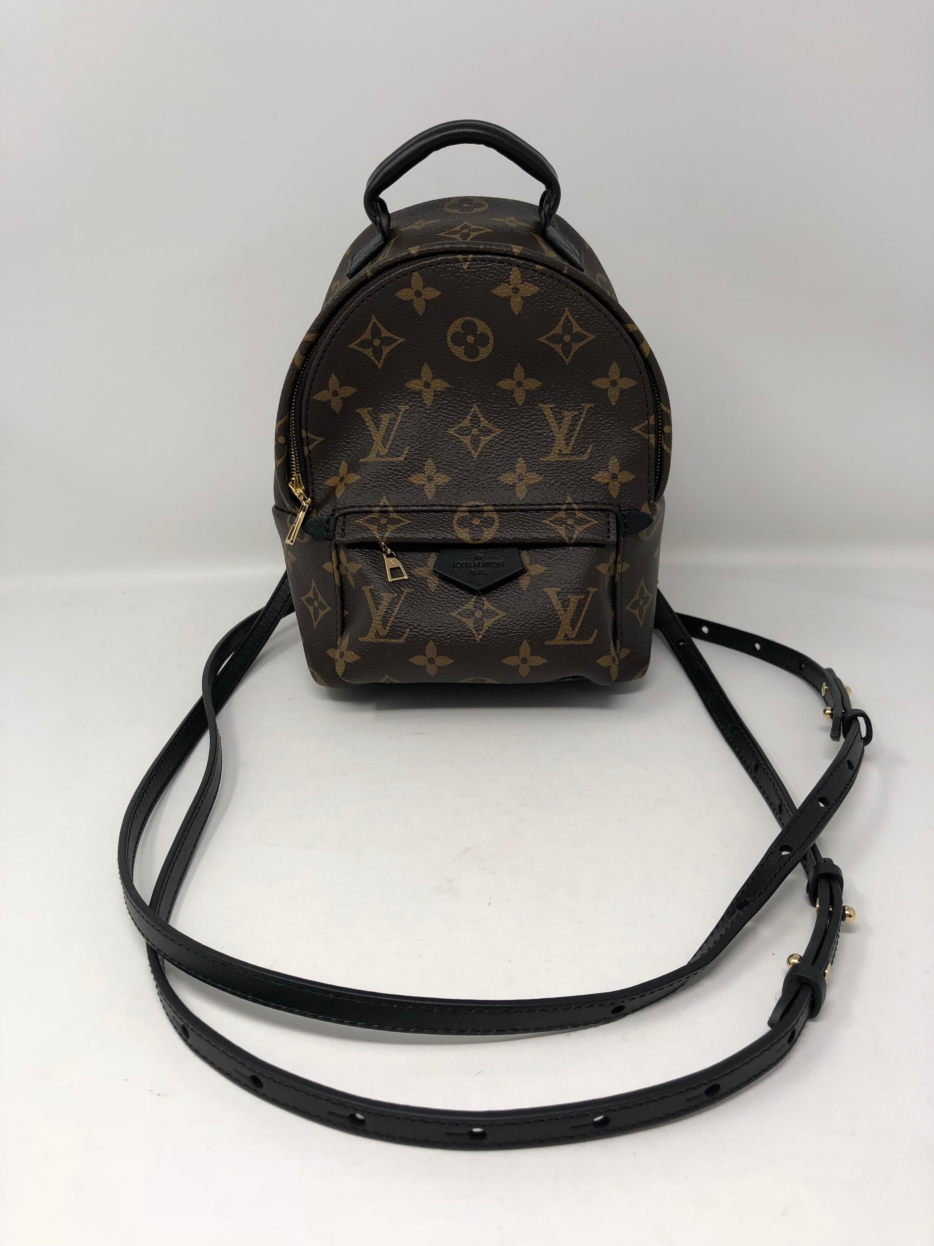 Black Louis Vuitton Palm Springs Mini Crossbody/Backpack 