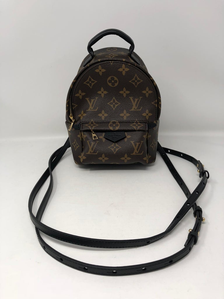 Louis Vuitton Palm Springs Mini Crossbody/Backpack at 1stDibs