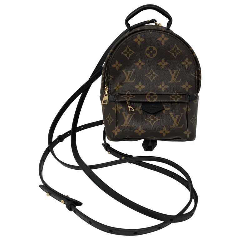 The Louis Vuitton Palm Springs Mini Backpack is one of the most versatile  backpacks you can buy, and notoriously hard to find in the…