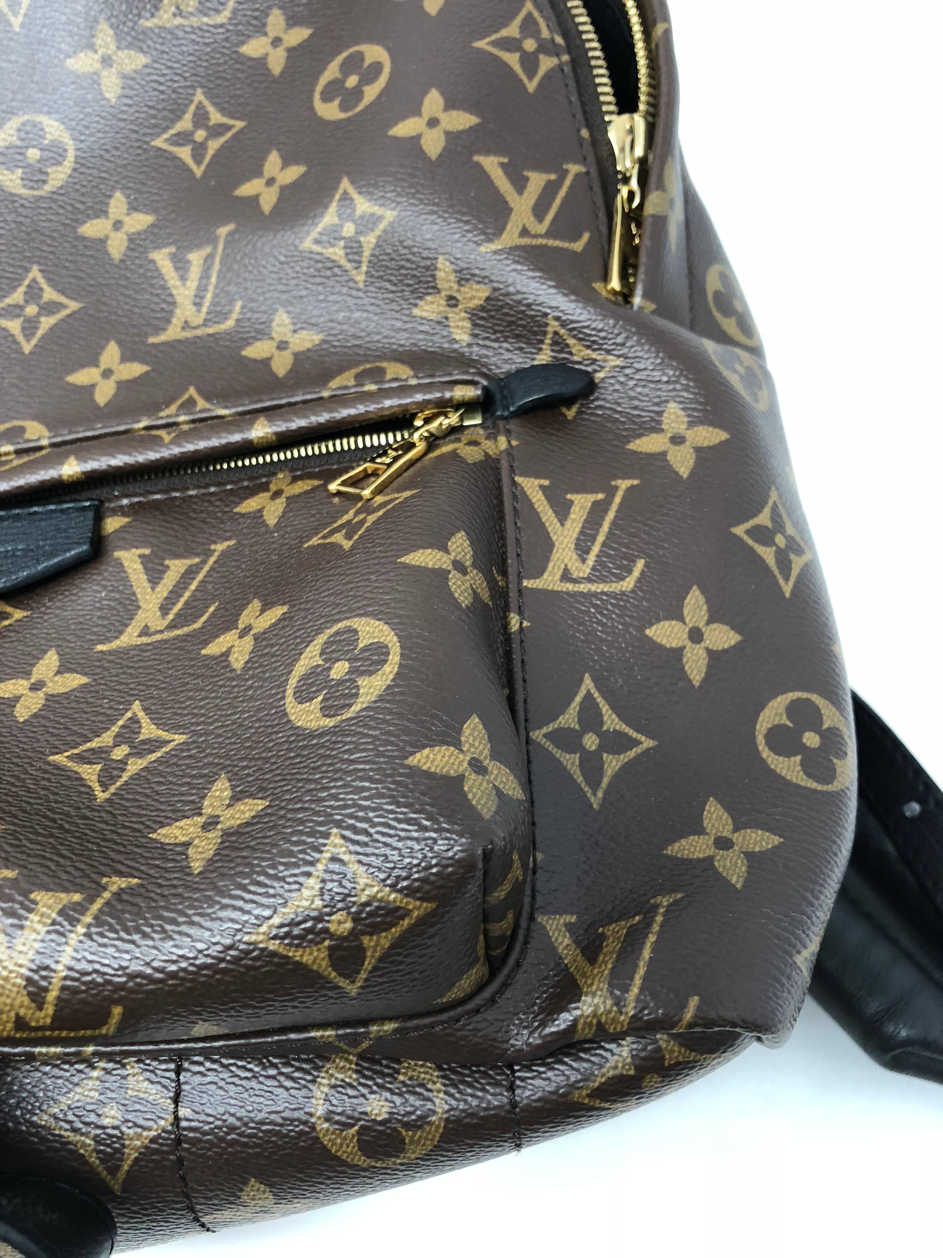 Louis Vuitton Palm Springs MM Backpack  1