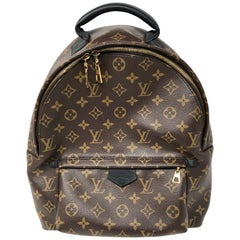 Louis Vuitton Palm Springs MM Backpack
