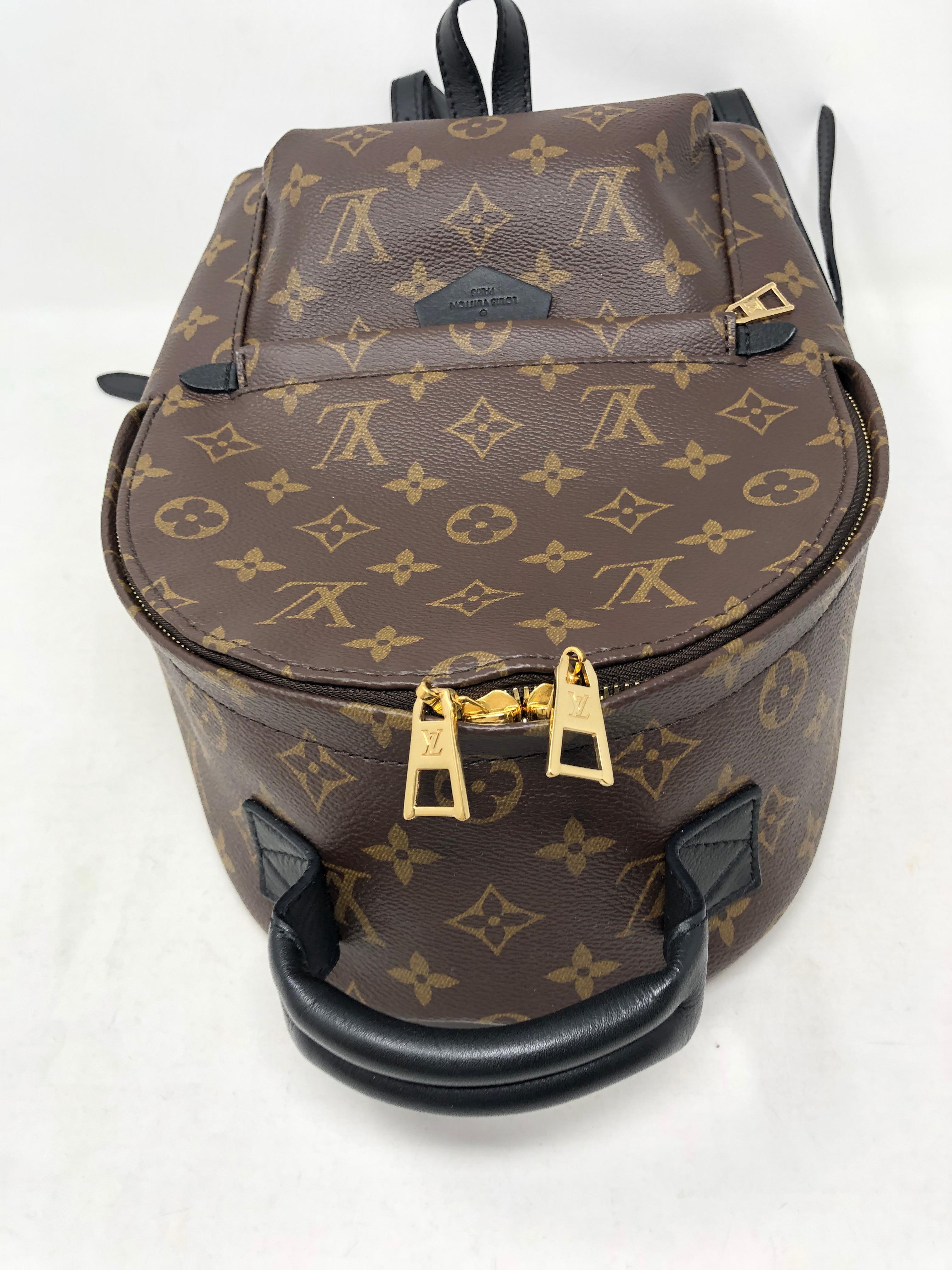 Louis Vuitton Palm Springs PM Backpack  5