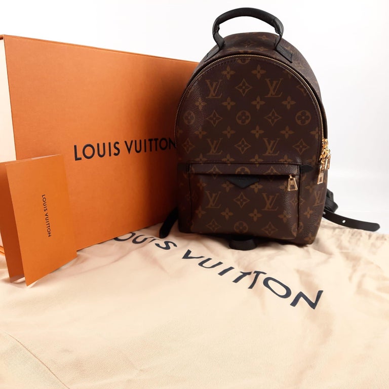 Louis Vuitton Palm Springs PM Backpack For Sale at 1stDibs