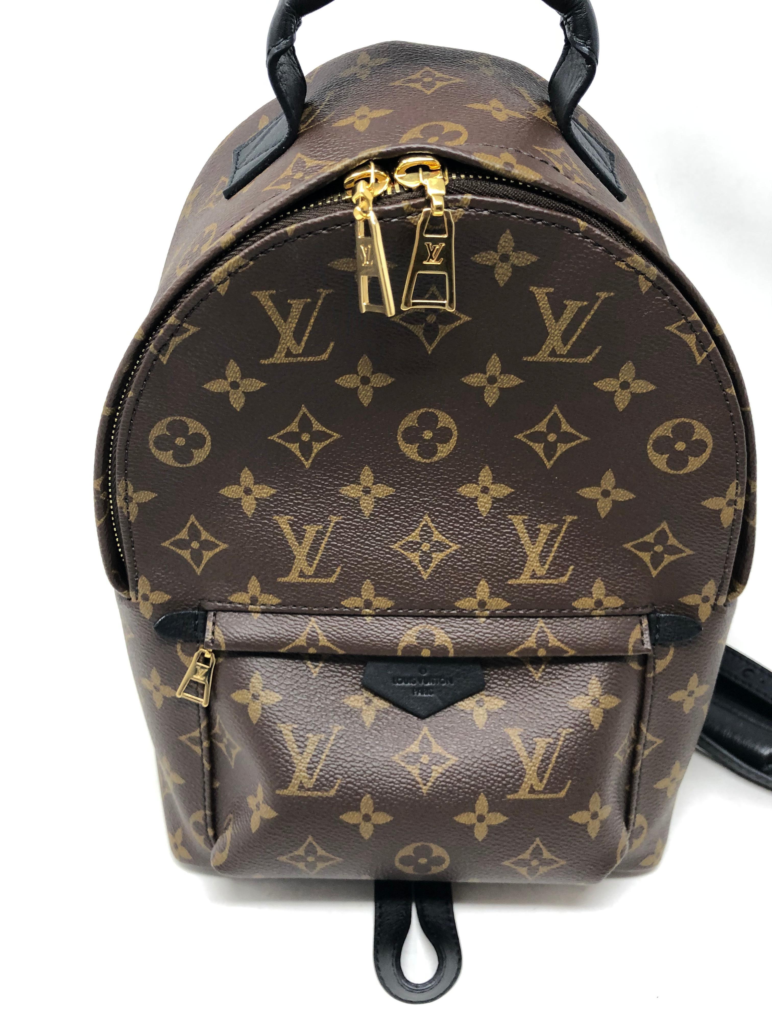 Louis Vuitton Palm Springs PM Backpack  1