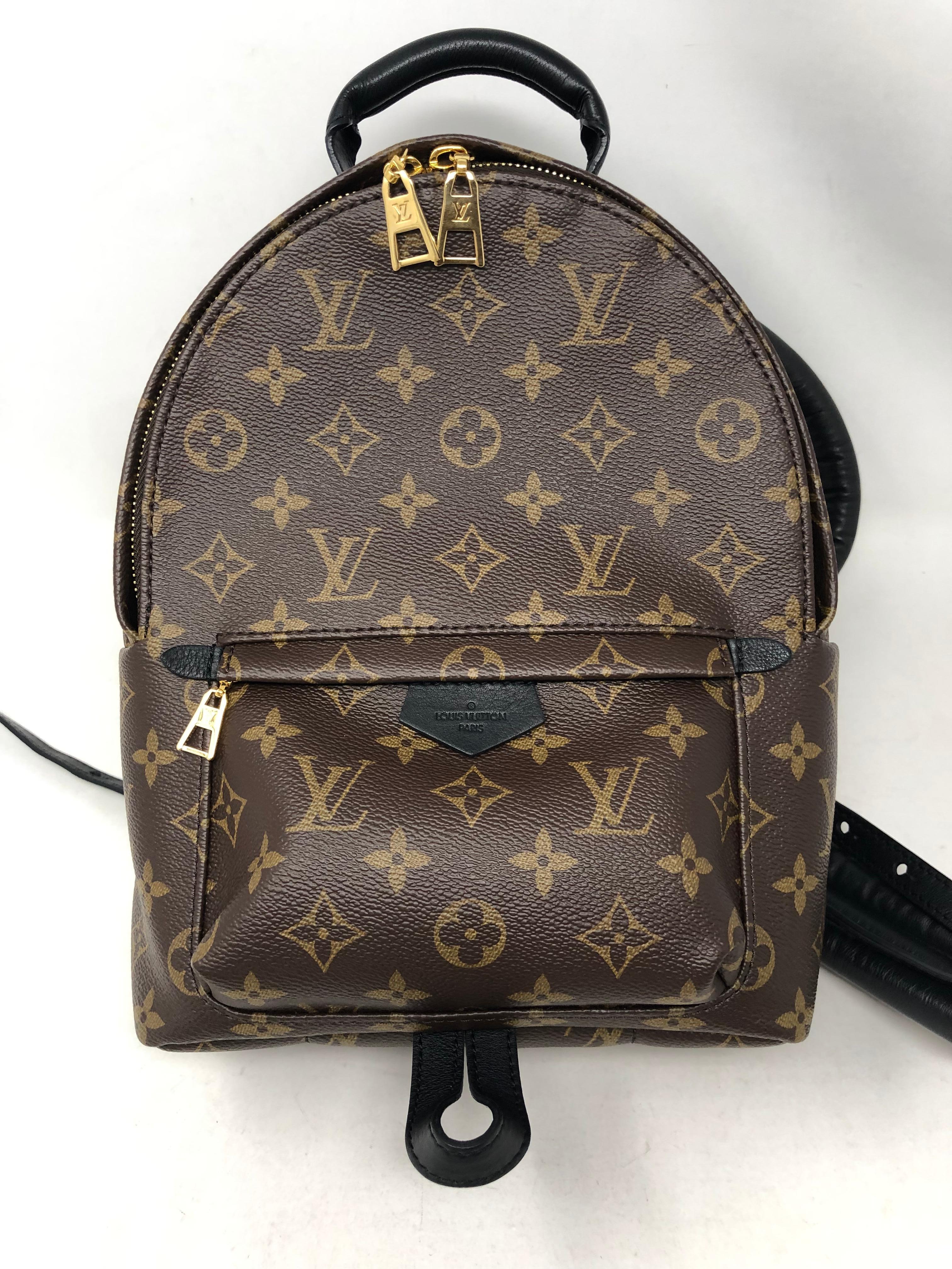 Louis Vuitton Palm Springs PM Backpack  2