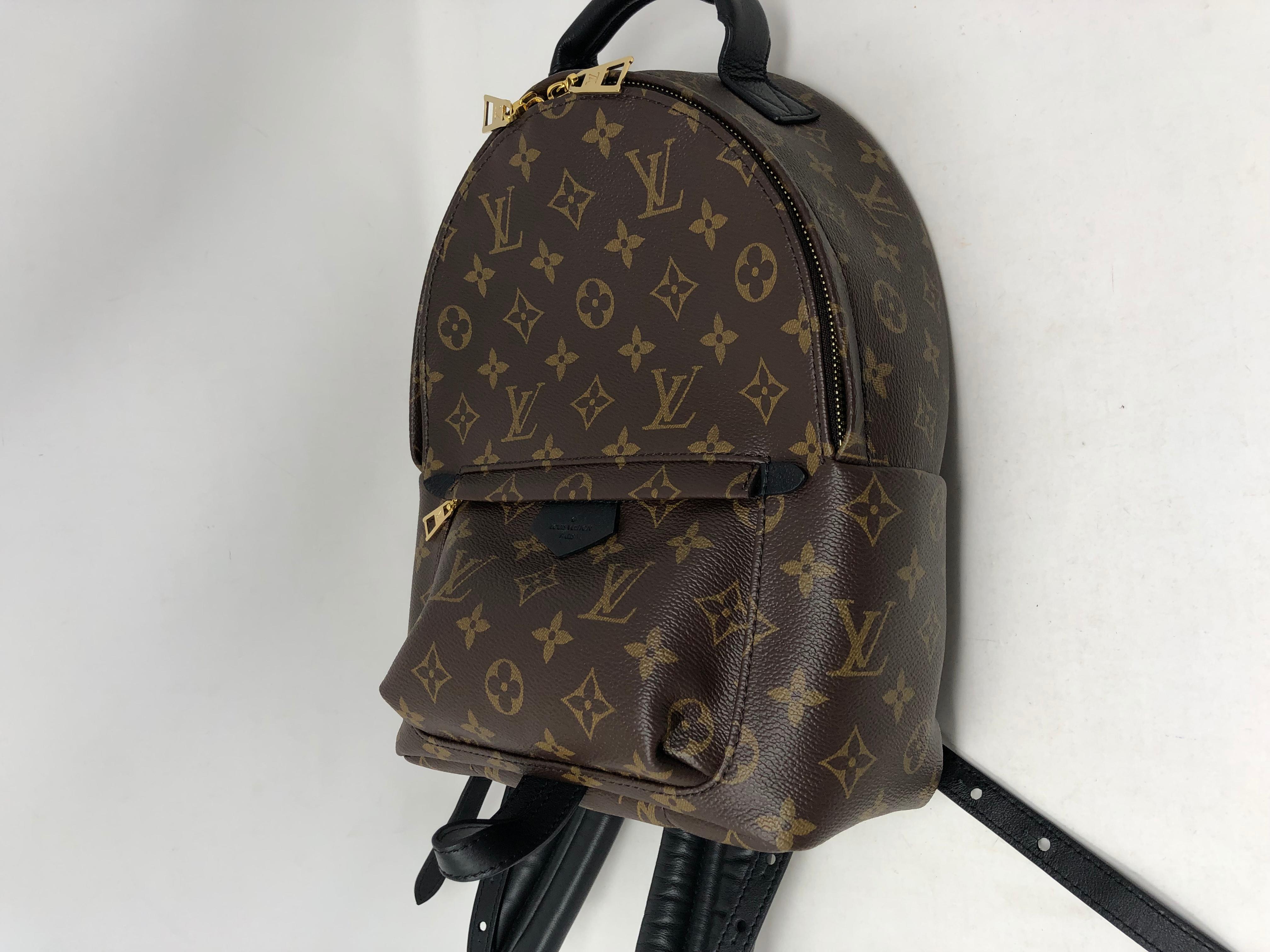 Louis Vuitton Palm Springs PM Backpack  3