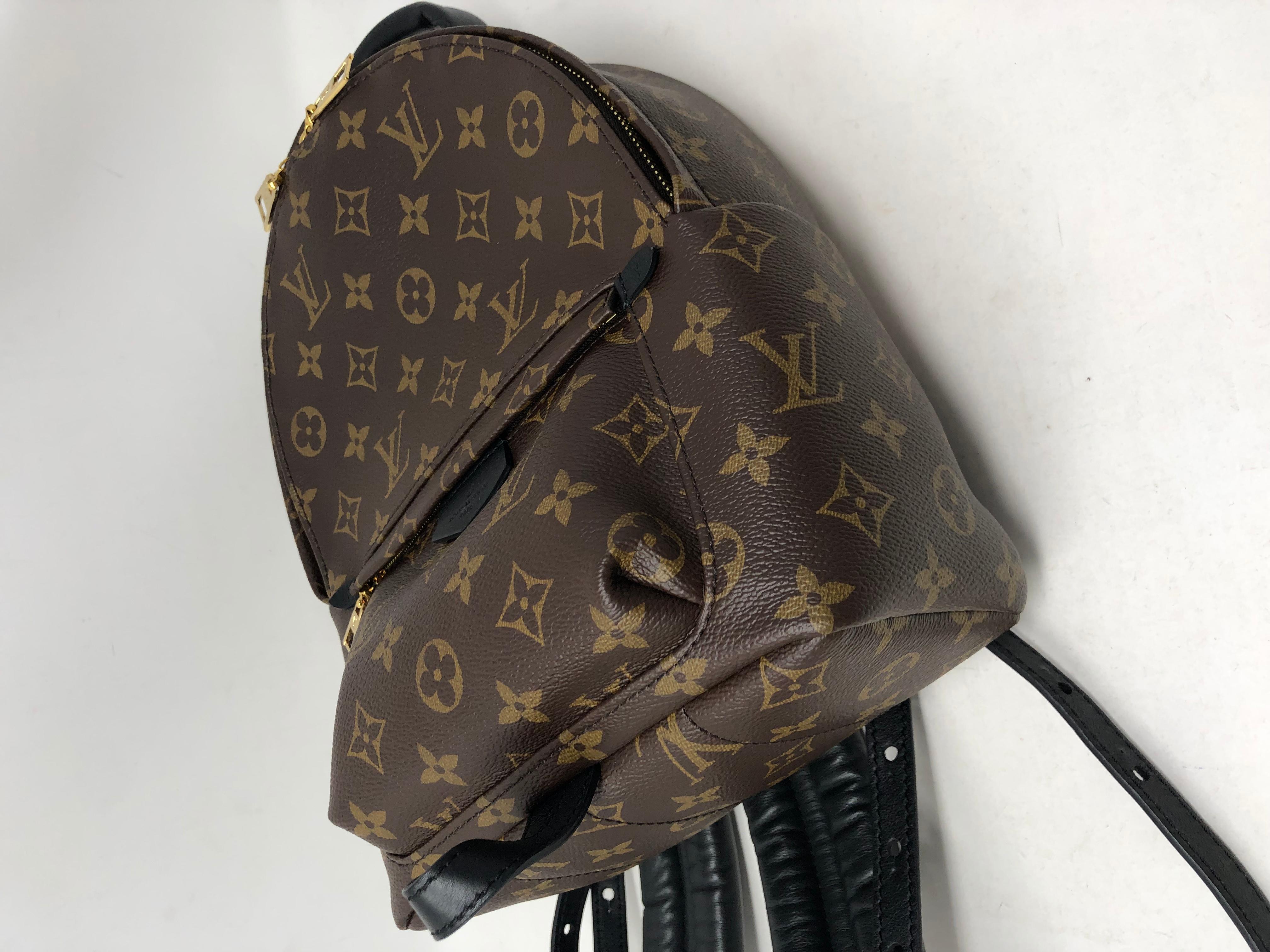 Louis Vuitton Palm Springs PM Backpack  4