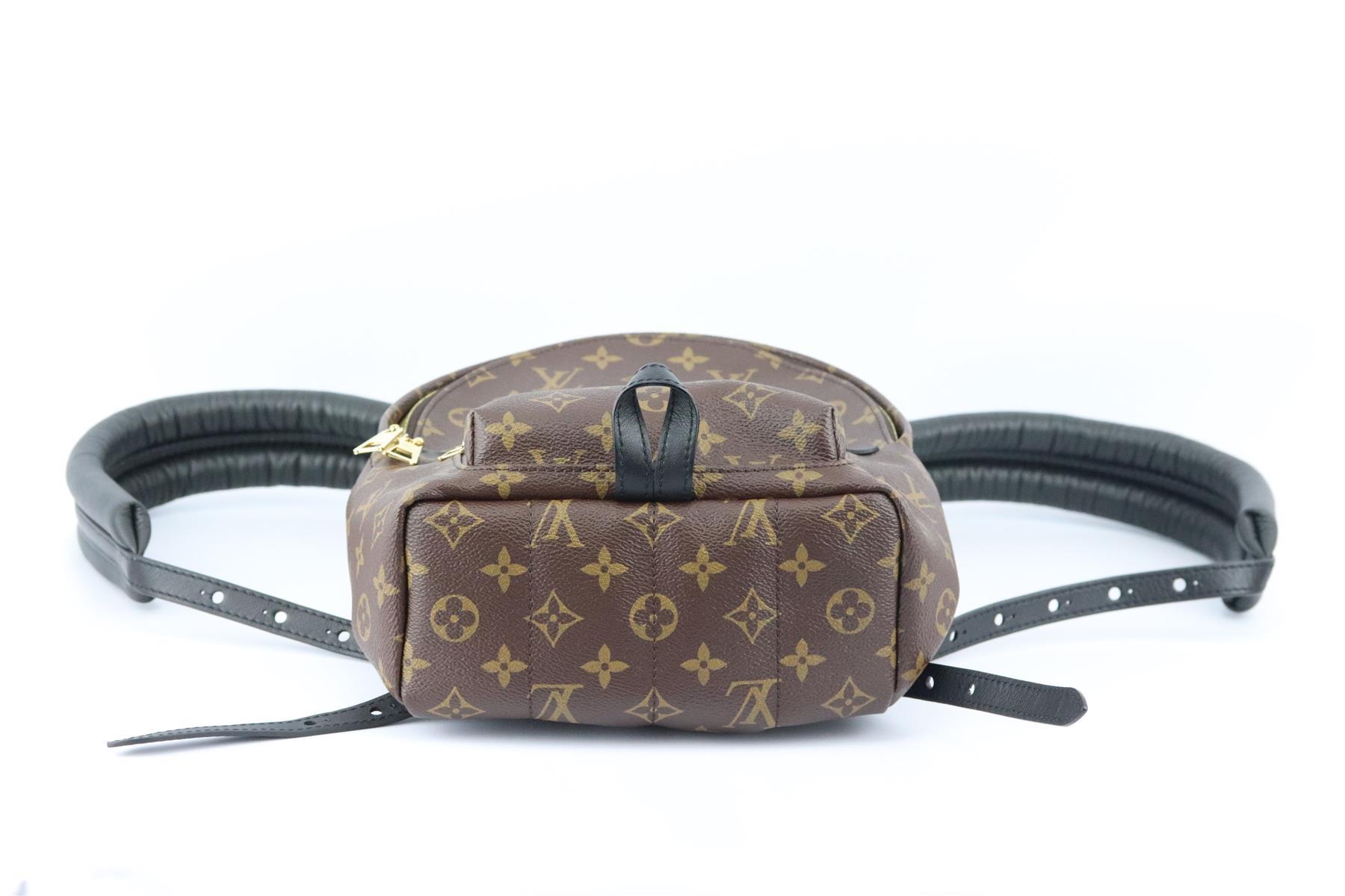 lv backpack big