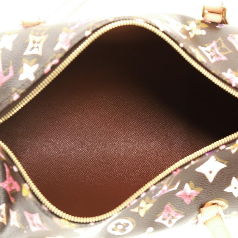 Louis Vuitton Papillon Handbag Limited Edition Aquarelle Monogram 30 1