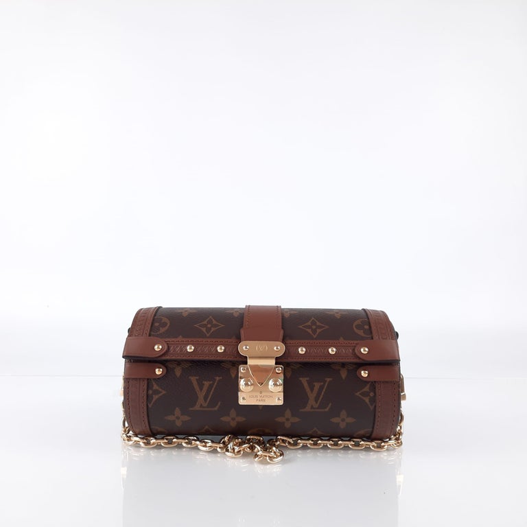 Brown Louis Vuitton Papillon Trunk Bag Monogram For Sale