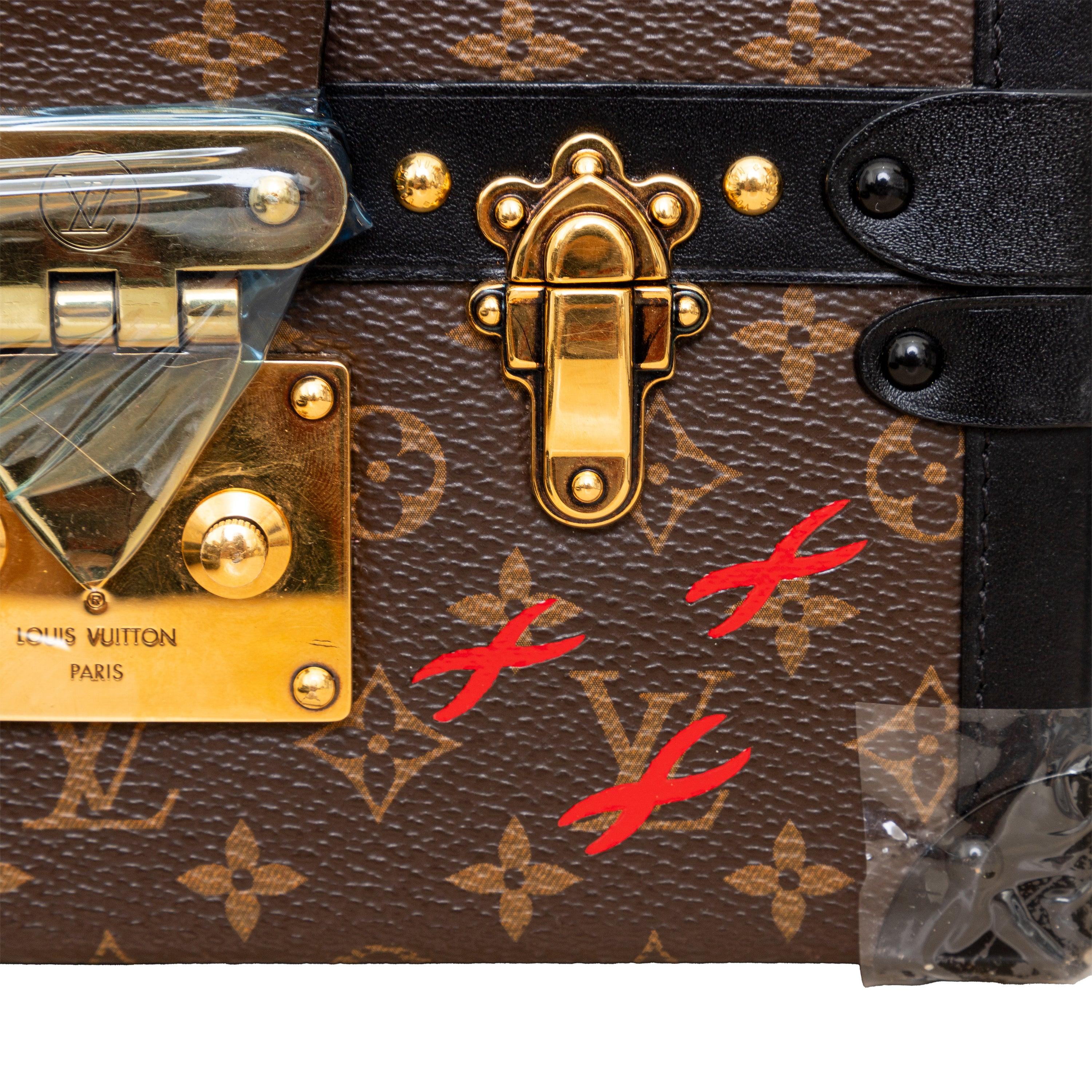 Louis Vuitton Petite Malle - '20s 4