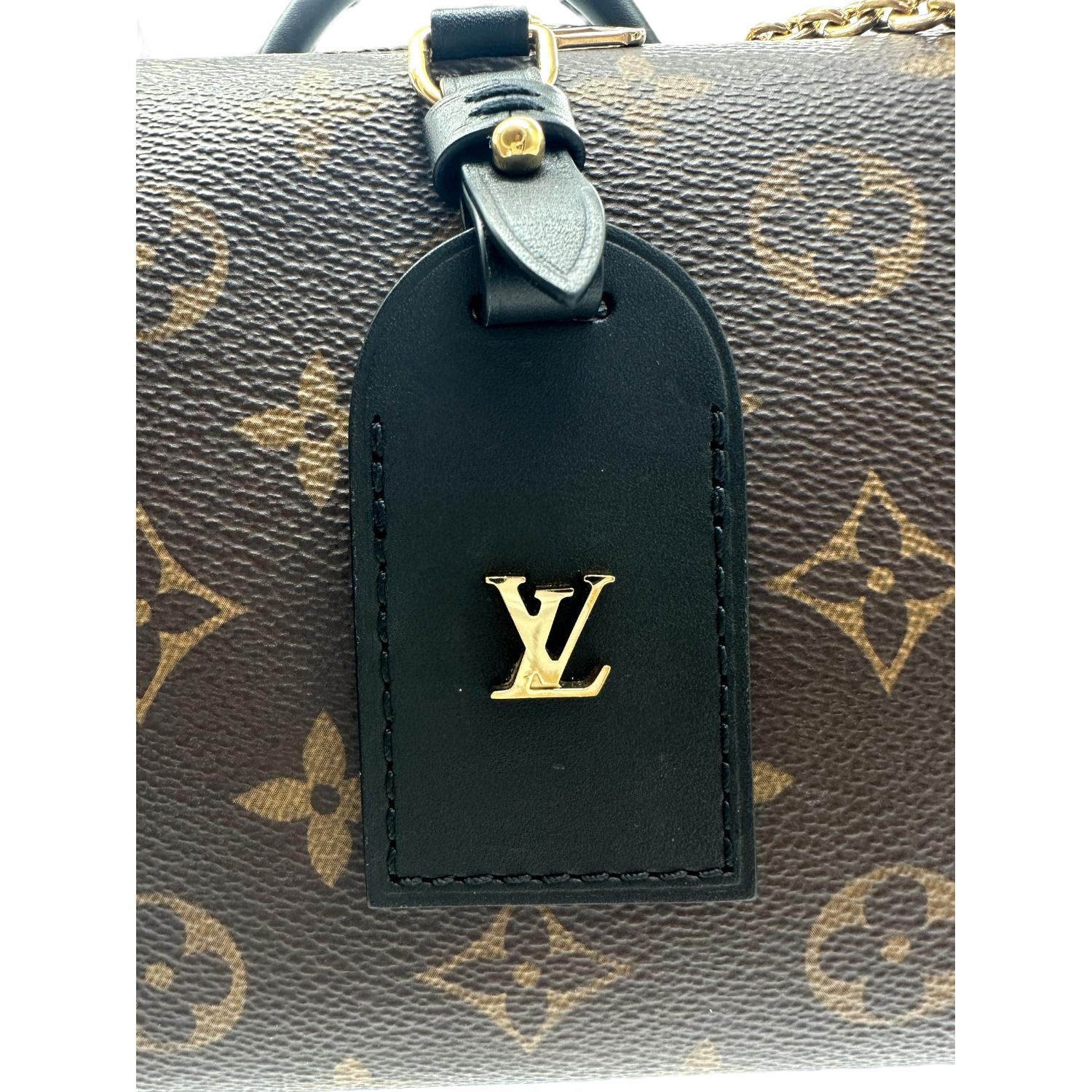 Louis Vuitton Petite Malle Souple 6