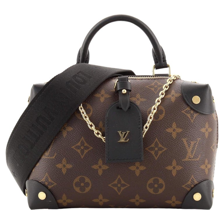Louis Vuitton Petite Malle Souple Bag in 2023