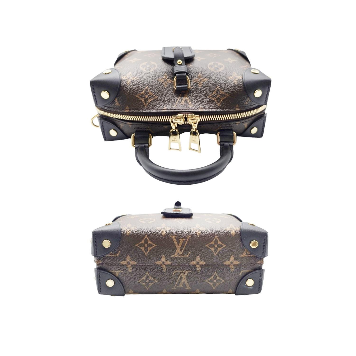 Women's or Men's Louis Vuitton Petite Malle Souple Top Handle Bag For Sale