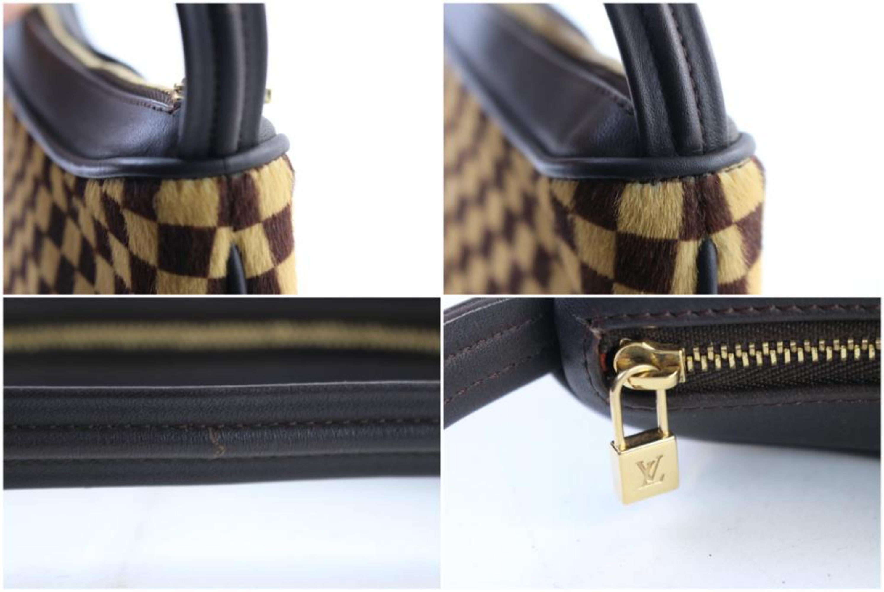 Louis Vuitton Pochette Damier Sauvage Tigre 226007 Brown Calf Hair Wristlet For Sale 3