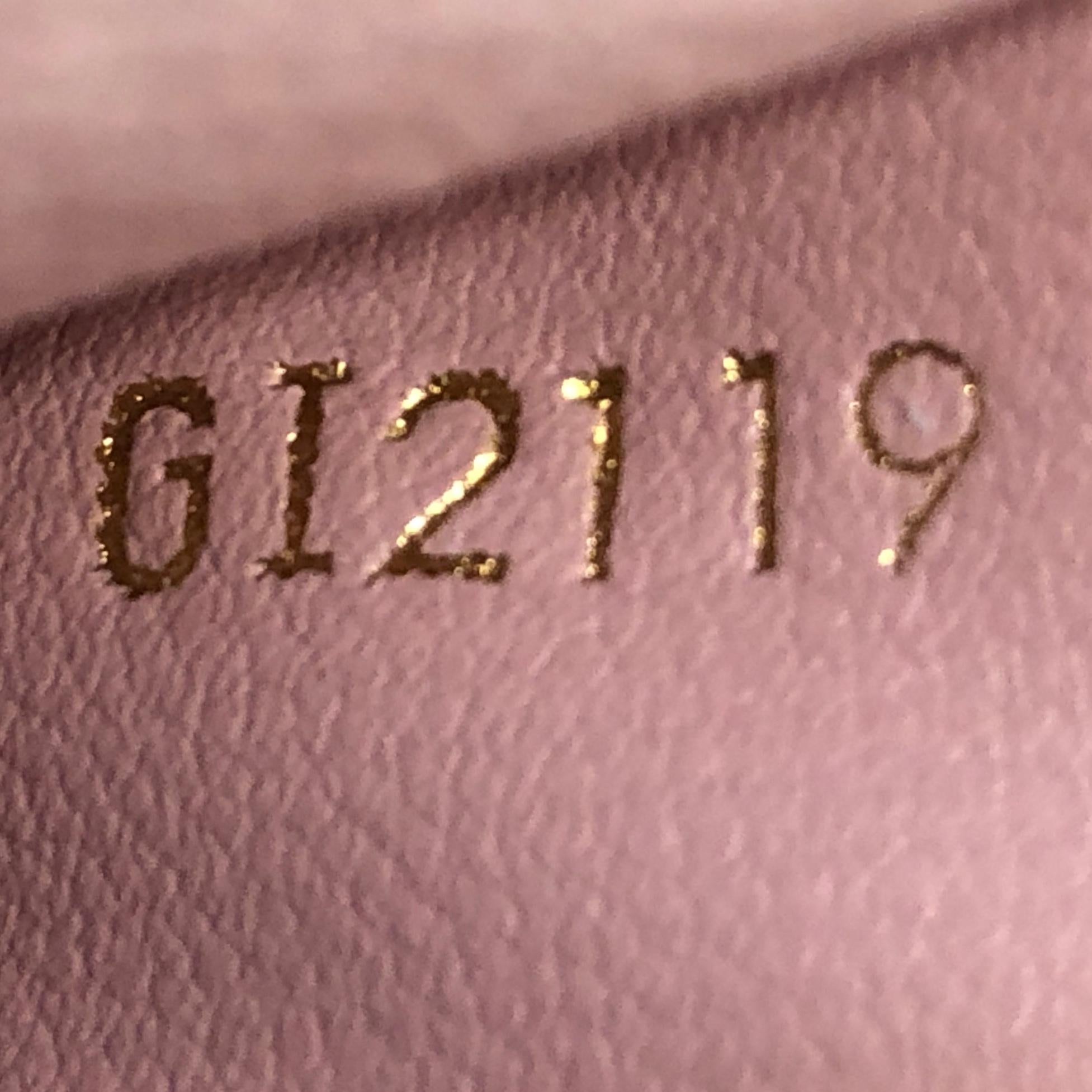 Louis Vuitton Pochette Double Zip Limited Edition Colored Monogram Gian 2