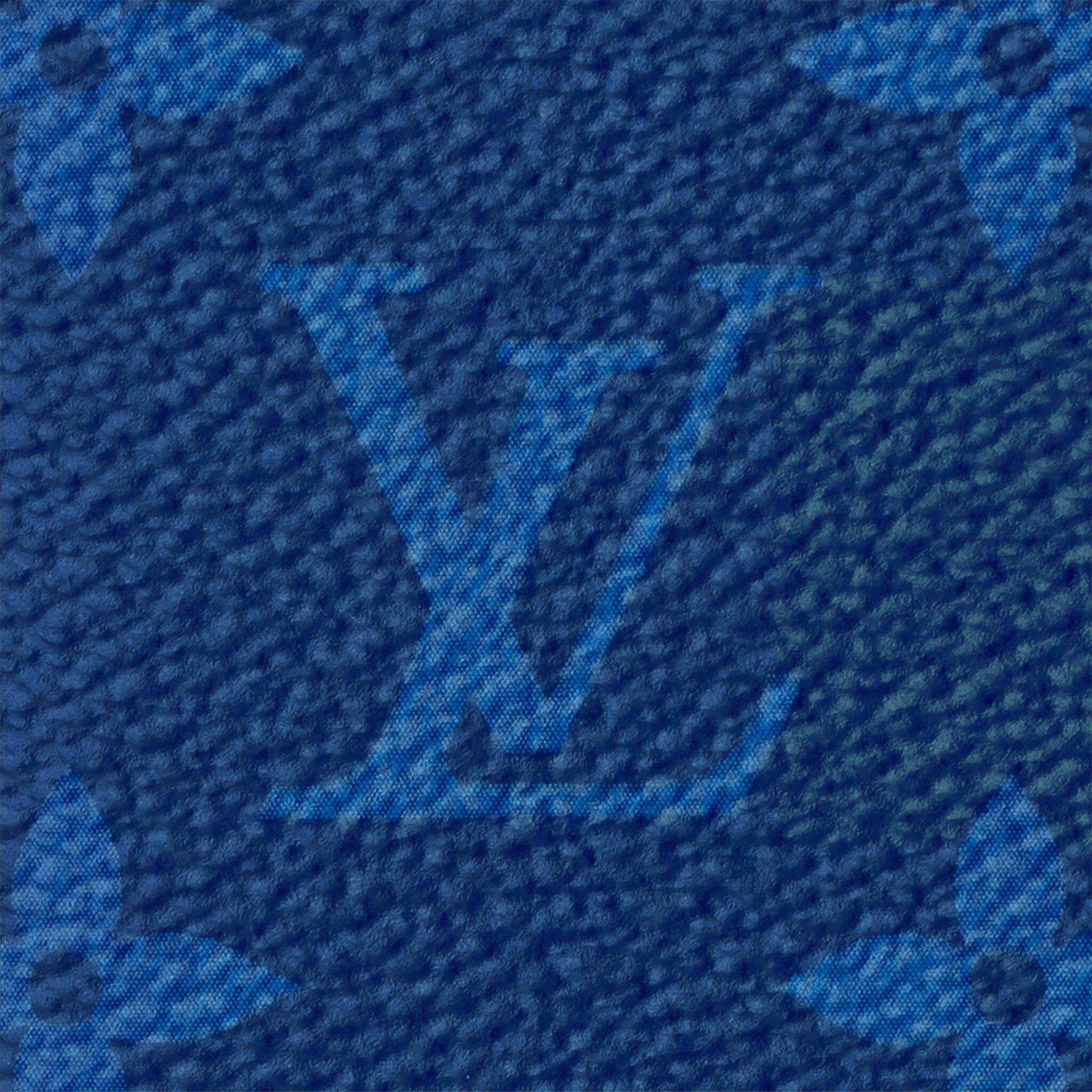 Louis Vuitton pocket organizer Navy blue Taïga cowhide leather  For Sale 2