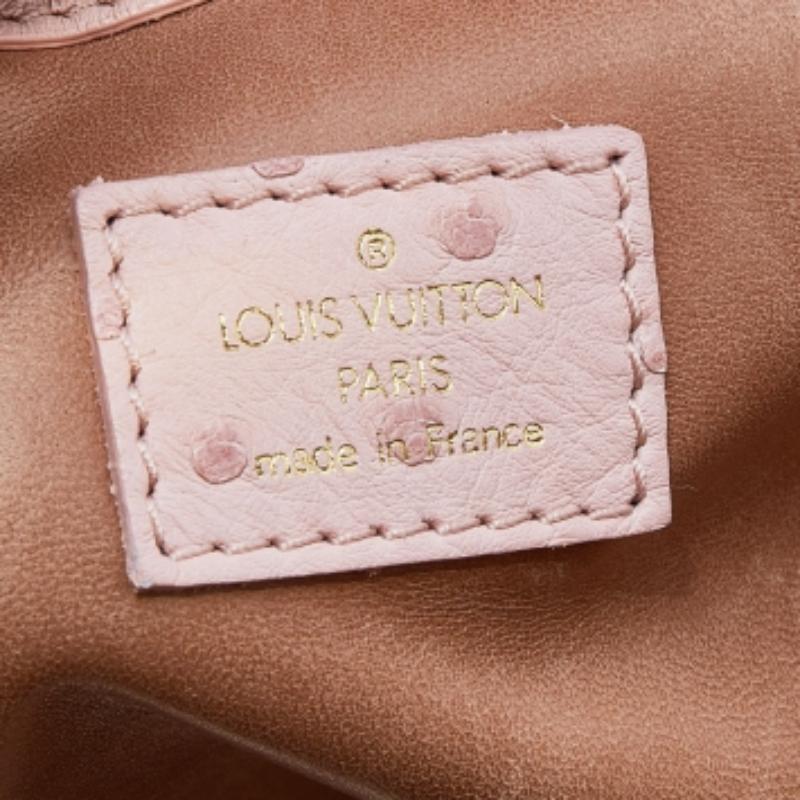 Louis Vuitton Poudre Strich Edizione Limitata Borsa Speedy con Telaio in vendita 1