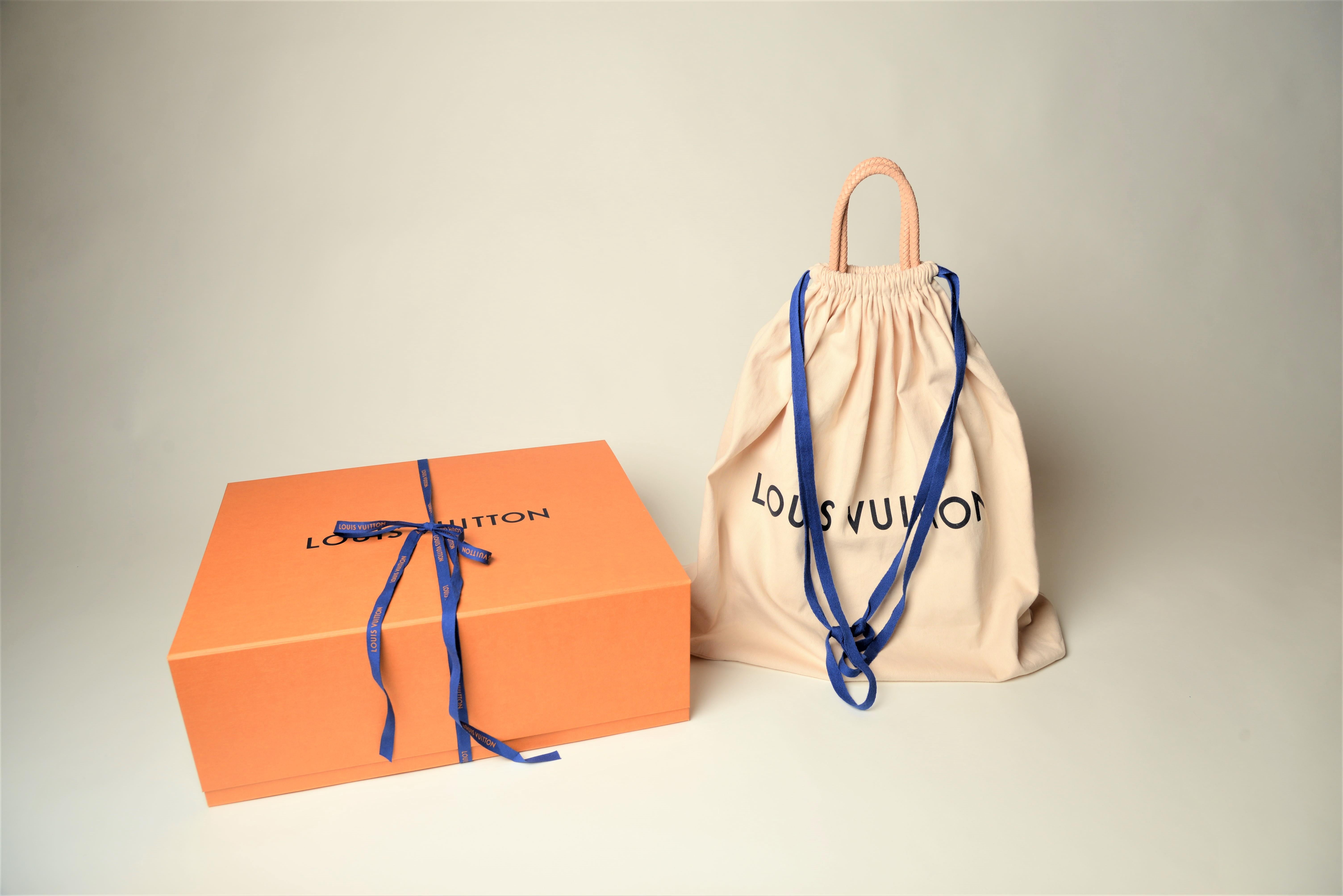 Louis Vuitton Propriano Damier Azur Bag 8