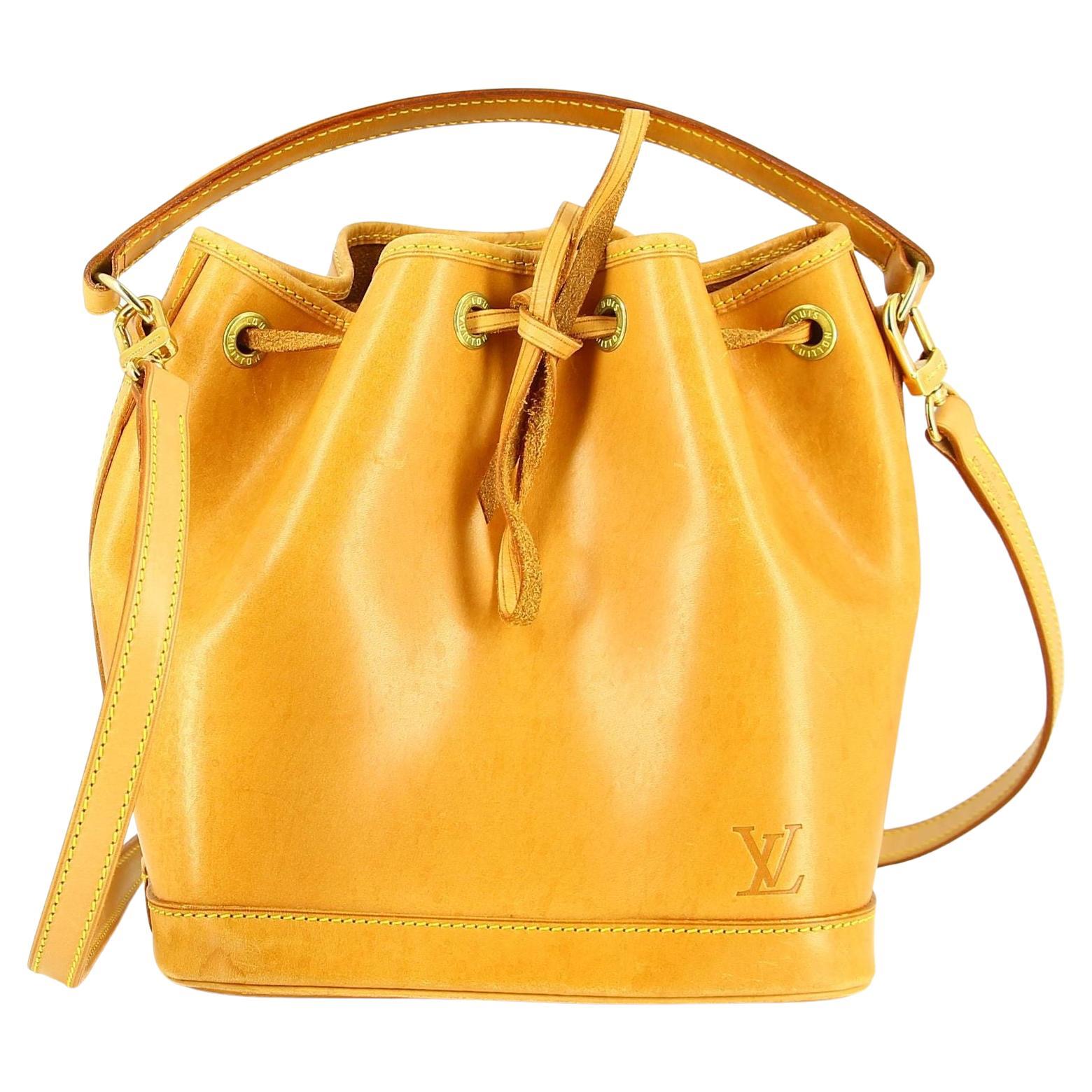 Louis Vuitton LV Mini Noe bucket bag rare vintage, Luxury, Bags