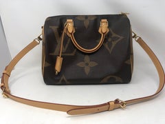 Louis Vuitton Reverse Mono Giant Speedy Bandouliere
