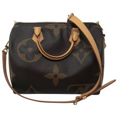 Louis Vuitton Reverse Mono Giant Speedy Bandouliere