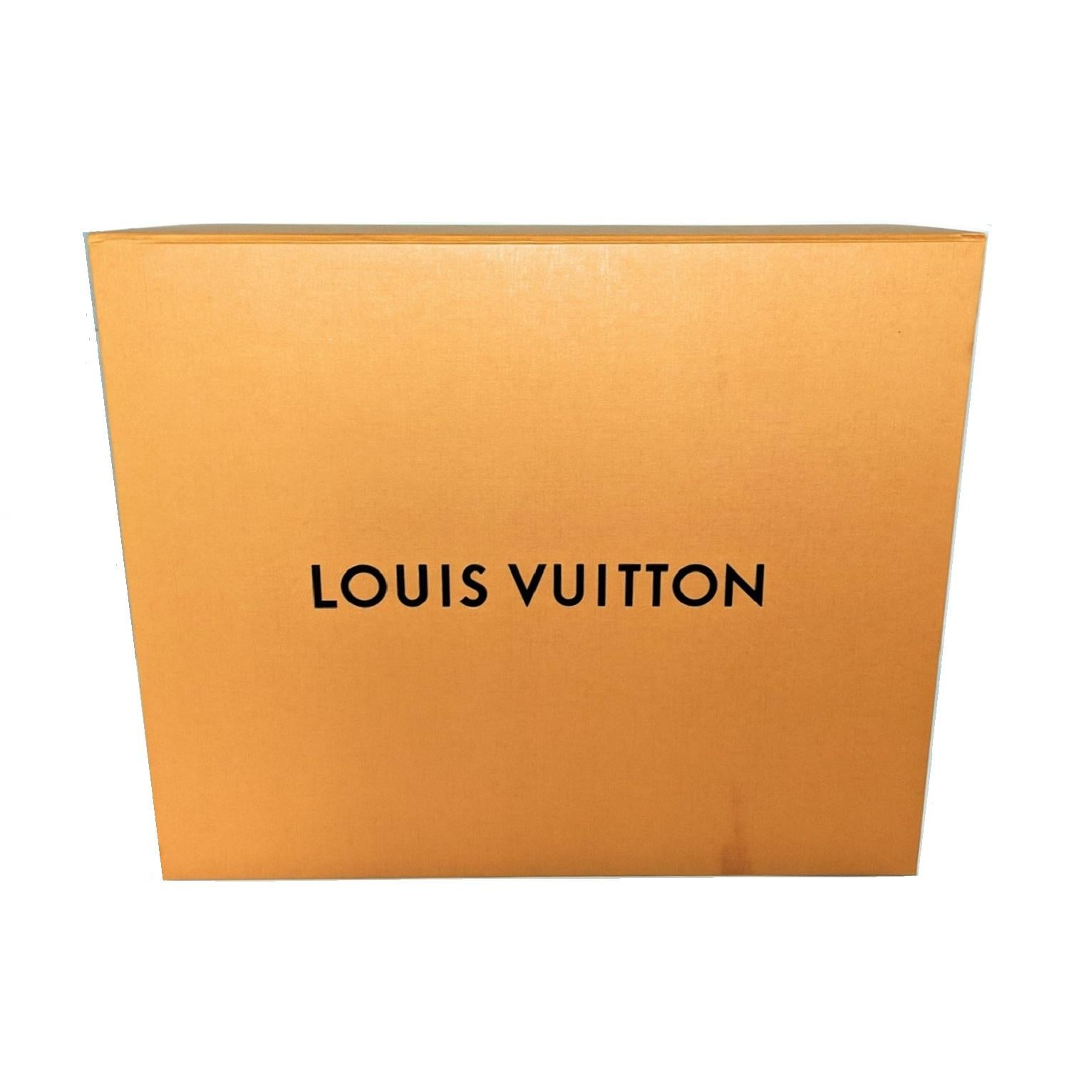 Zaino Louis Vuitton Reverse Monogram Dauphine PM 5
