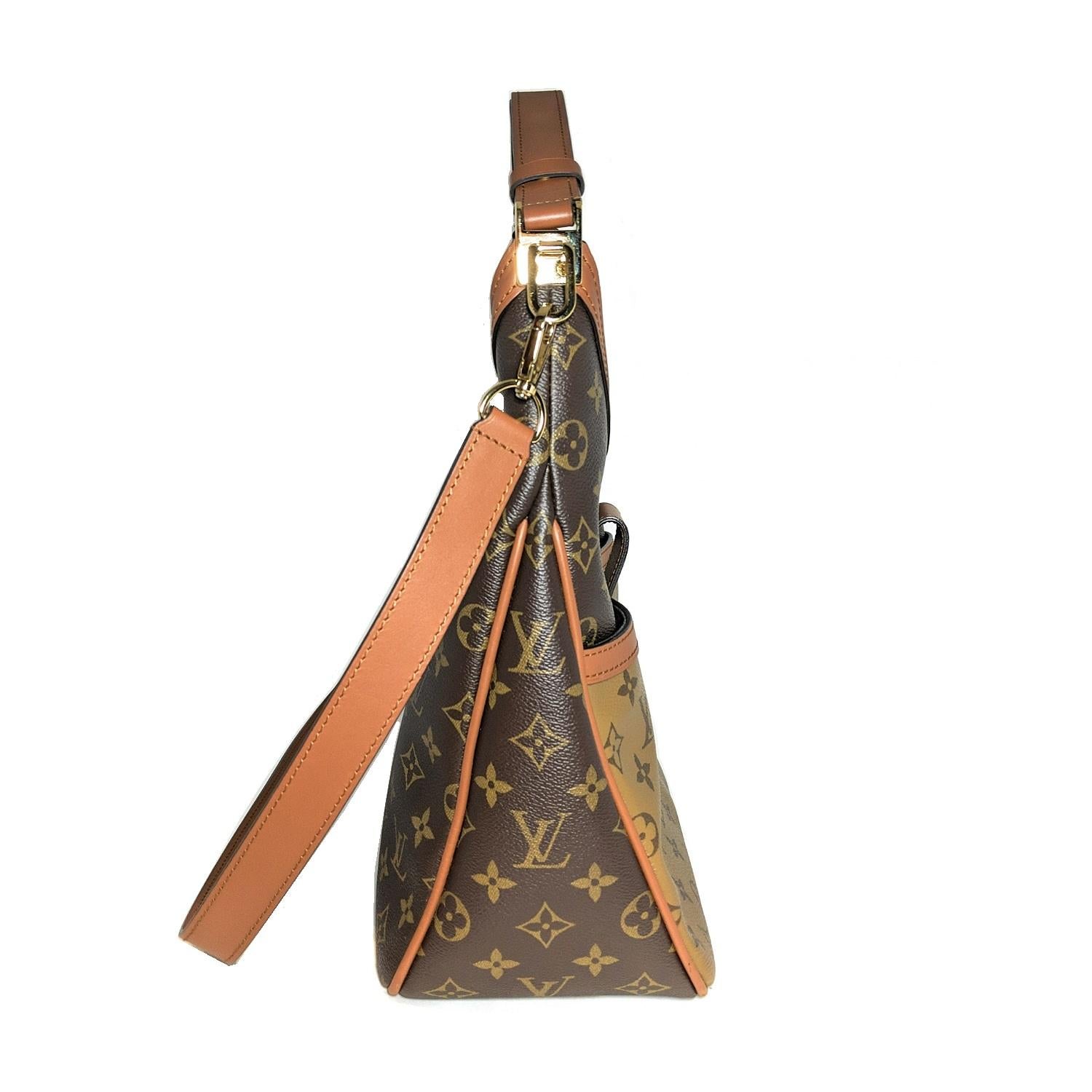 louis vuitton dauphine hobo