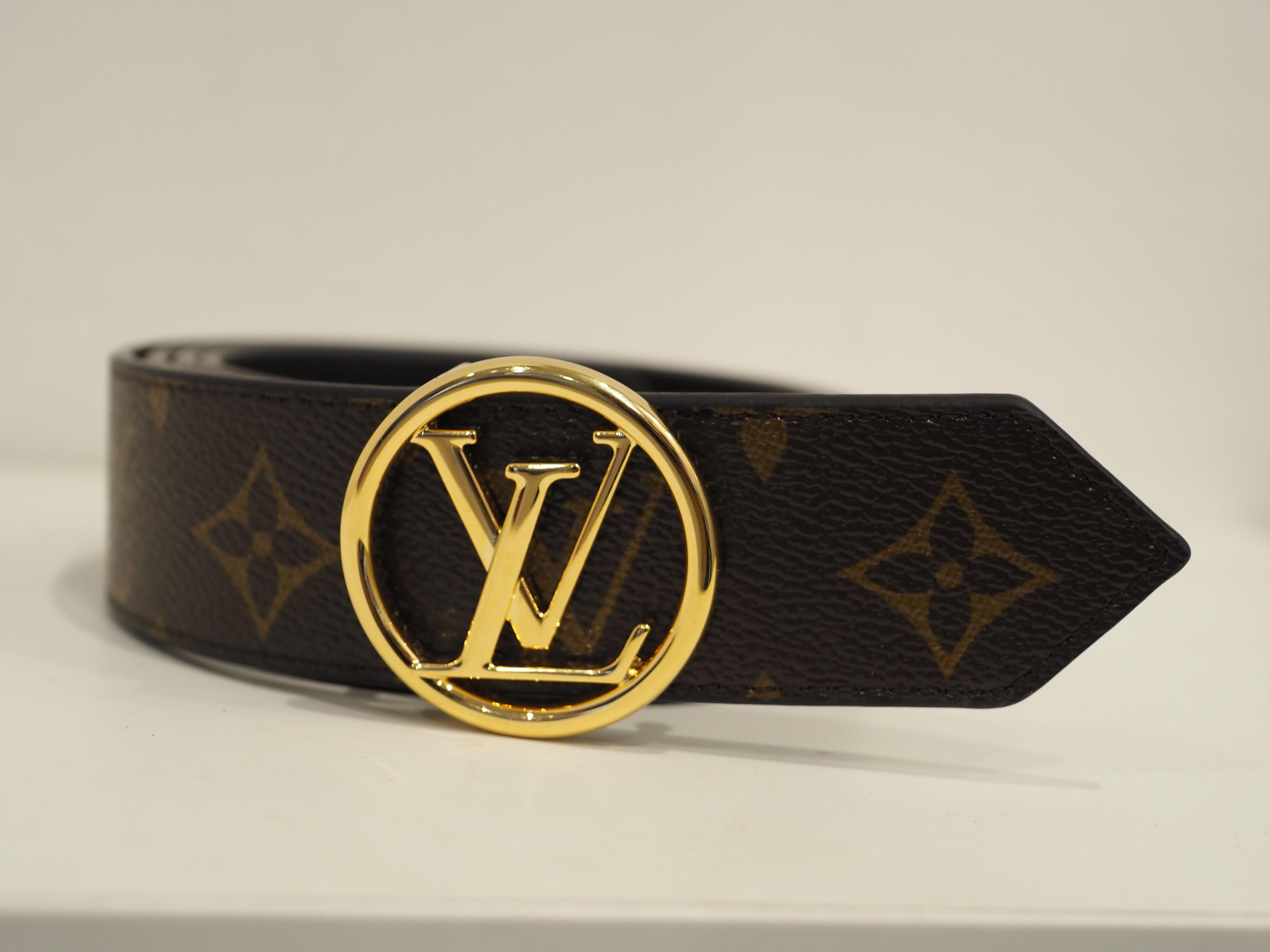 Louis Vuitton reversible belt 2