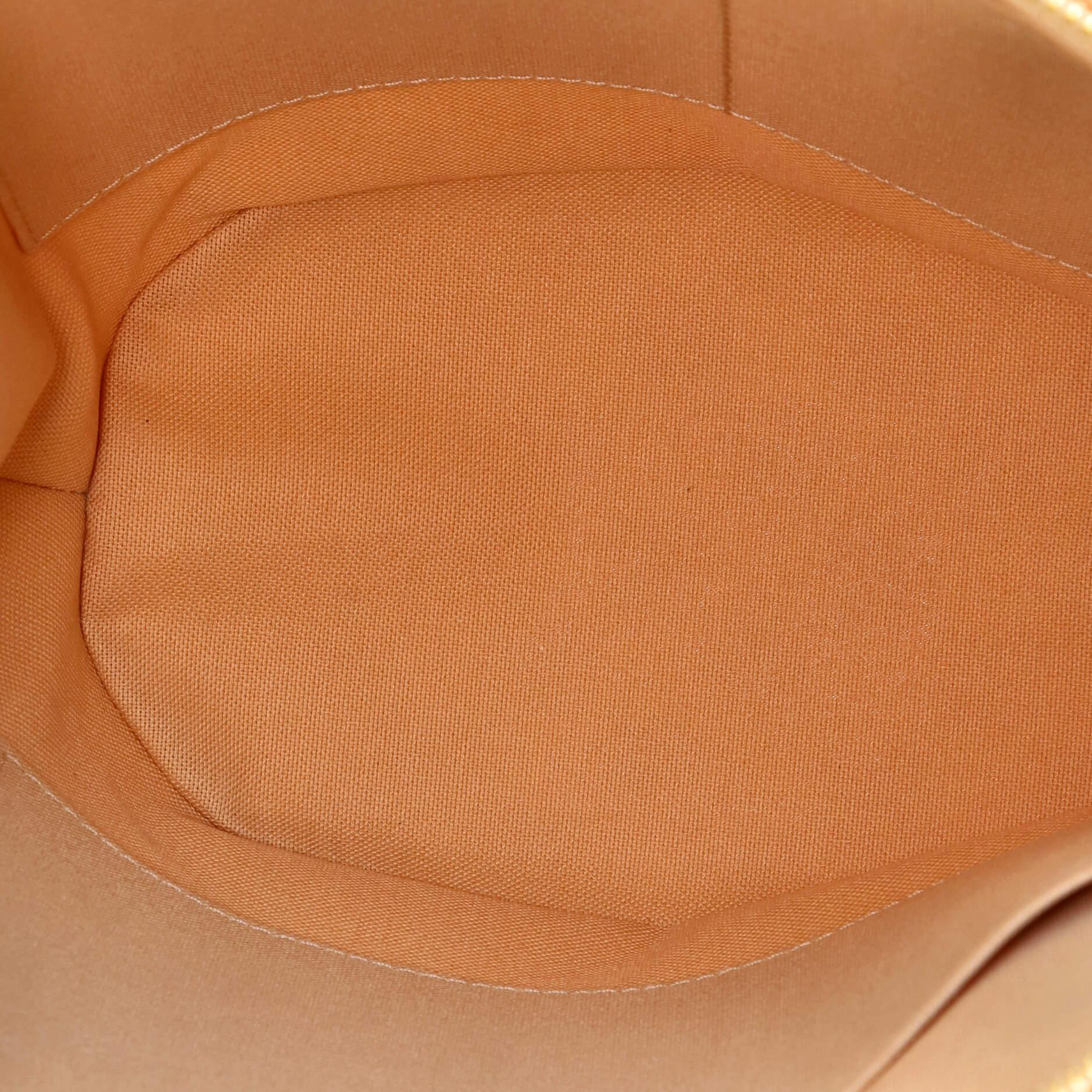 Louis Vuitton Riviera Handbag Damier PM 1