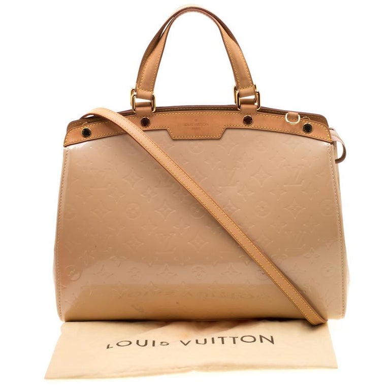 Louis Vuitton Bags In Paris  Natural Resource Department