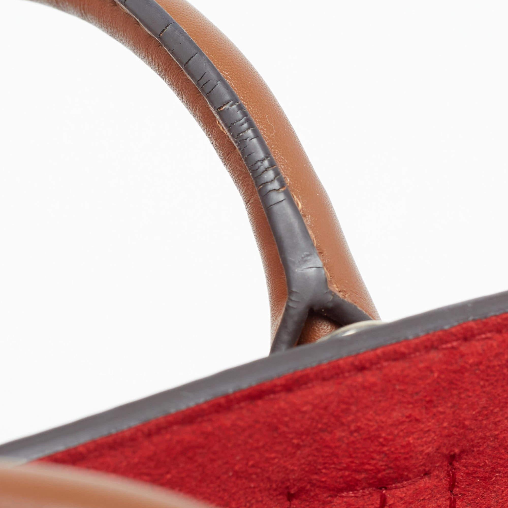 Louis Vuitton Rubis/Noisette Monogram Plume Leather Very MM Tote 10