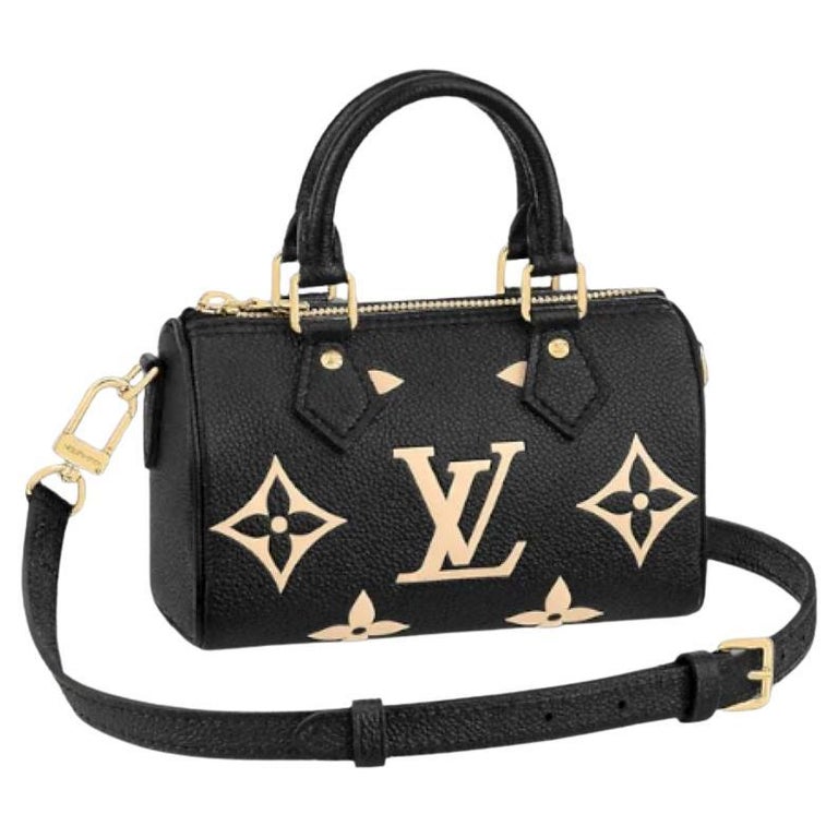 Louis Vuitton Sac Nano Speedy For Sale at 1stDibs