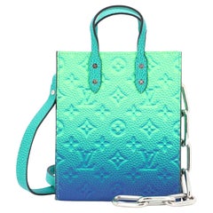 Louis Vuitton Sac Plat Bag Taurillon Illusion XS