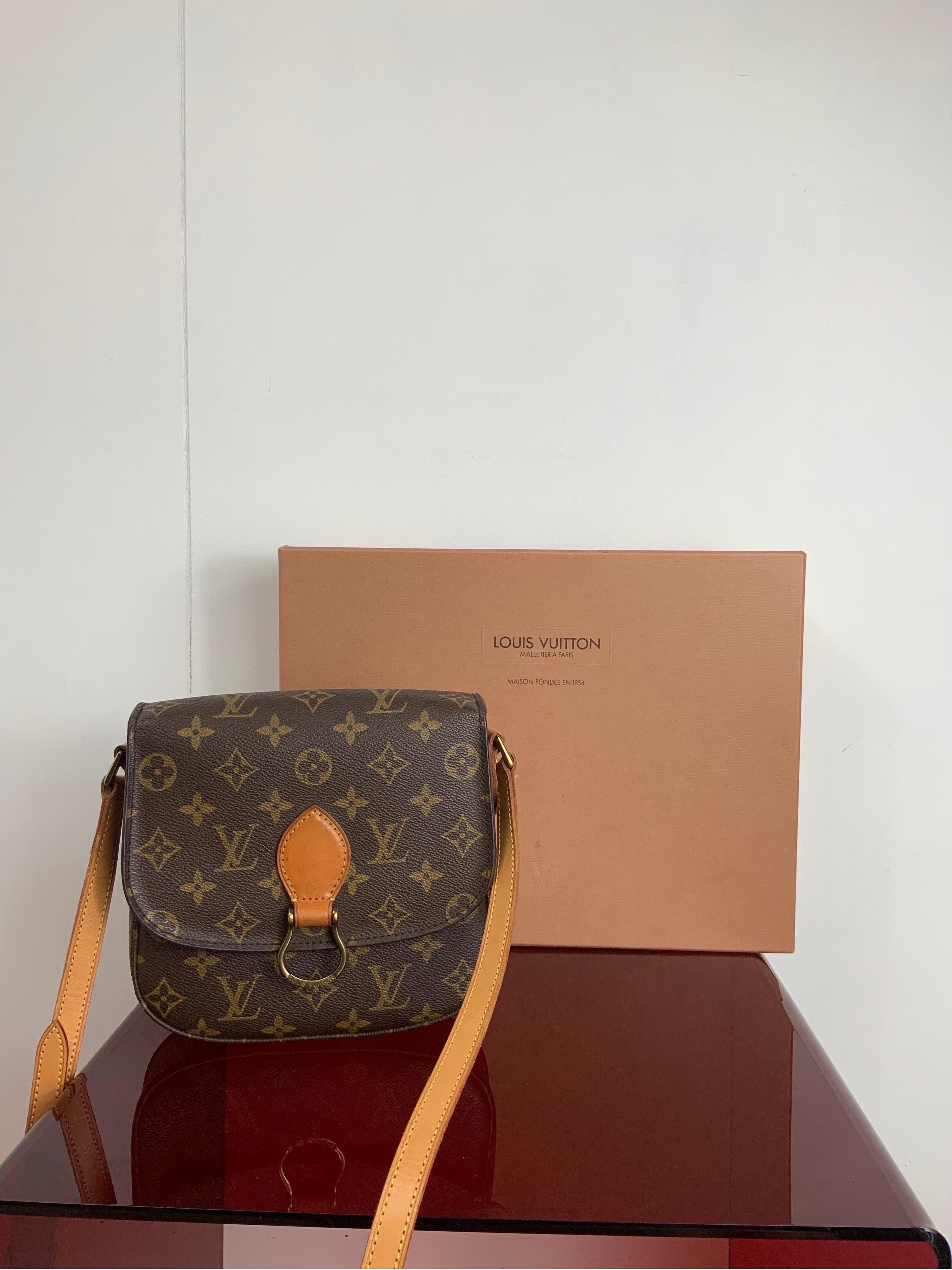 Louis Vuitton Saint Cloud vintage bag 5