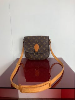 Louis Vuitton Saint Cloud vintage bag