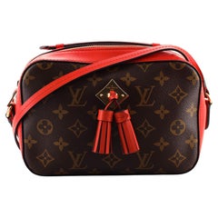 Saintonge leather crossbody bag Louis Vuitton Multicolour in Leather -  36167172