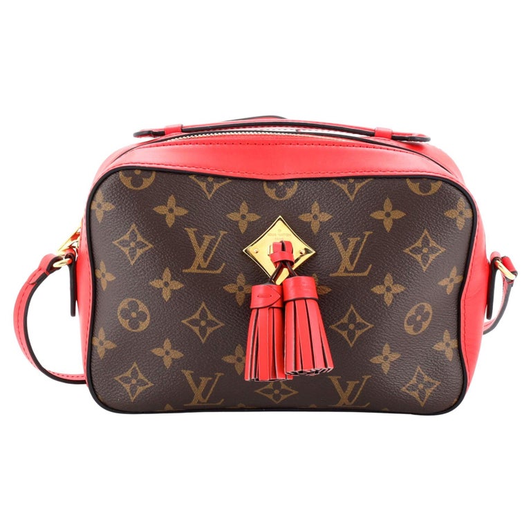 Louis Vuitton Saintonge Handbag Monogram Canvas with Leather For Sale at  1stDibs