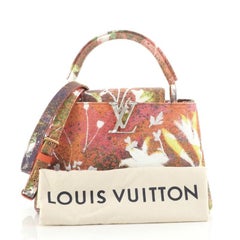 Louis Vuitton Sam Falls Artycapucines Bag Embroidered Printed Canvas PM