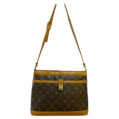 LOUIS VUITTON Shoulder Crossbody Bag